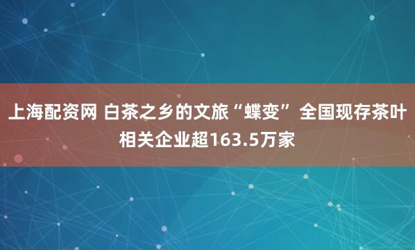 上海配资网 白茶之乡的文旅“蝶变” 全国现存茶叶相关企业超163.5万家