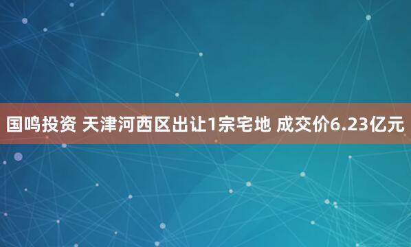 国鸣投资 天津河西区出让1宗宅地 成交价6.23亿元