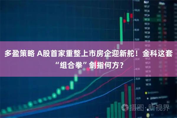 多盈策略 A股首家重整上市房企迎新舵!金科这套“组合拳”剑指何方?