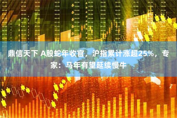 鼎信天下 A股蛇年收官，沪指累计涨超25%，专家：马年有望延续慢牛