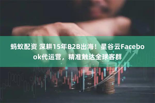 蚂蚁配资 深耕15年B2B出海！星谷云Facebook代运营，精准触达全球客群