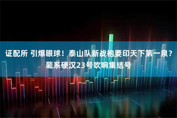 证配所 引爆眼球！泰山队新战袍要印天下第一泉？葡系硬汉23号吹响集结号