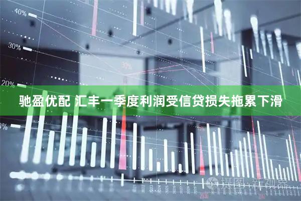 驰盈优配 汇丰一季度利润受信贷损失拖累下滑